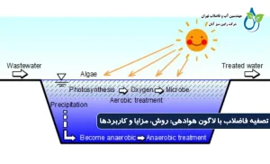 تصفیه فاضلاب با لاگون هوادهی | مزایا، نحوه عملکرد و کاربردها